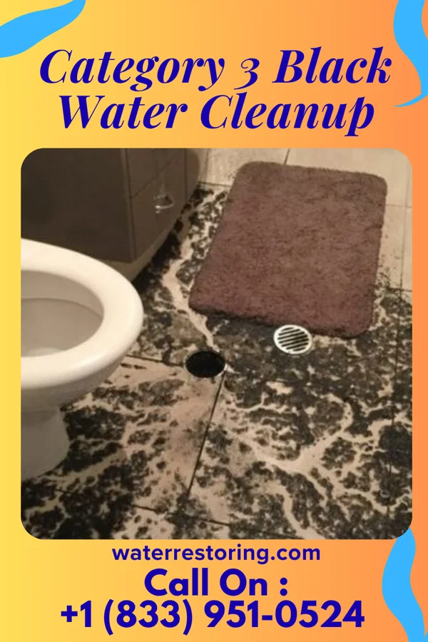 Category 3 Black Water Cleanup in Essex, IL